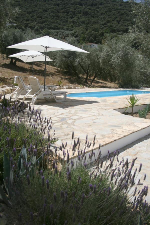 Hotel La Pluma Iznájar Exterior foto